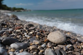 Cardiology Non Invasive Physician At Mclaren