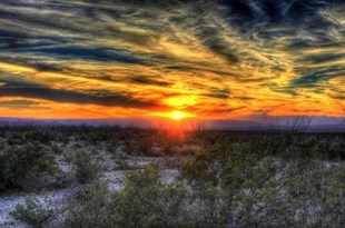 TEXAS Image